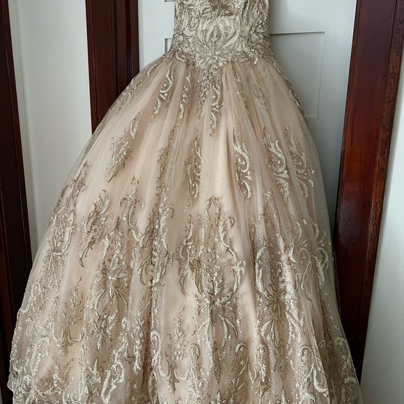 Prom Gown, Quinceañera Gown, Wedding Gown, Cosplay Gown or Ball Gown - Picture 12 of 14
